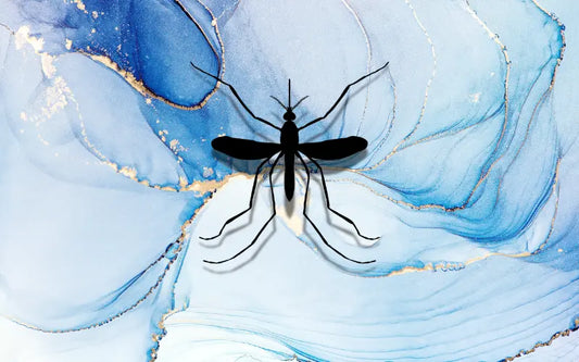En bild av en mygga gjord av Silverfisk.com